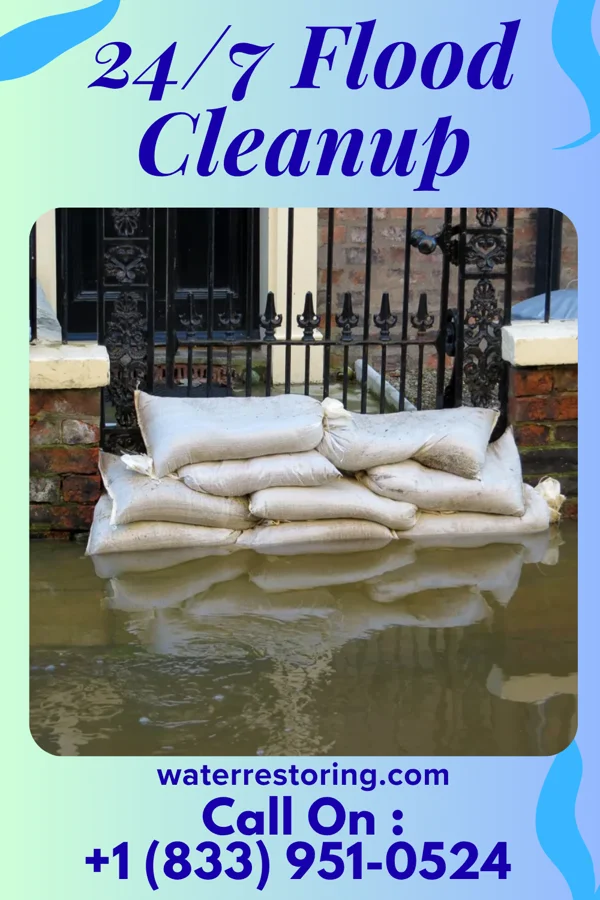 24/7 Flood Cleanup in Troy, IN