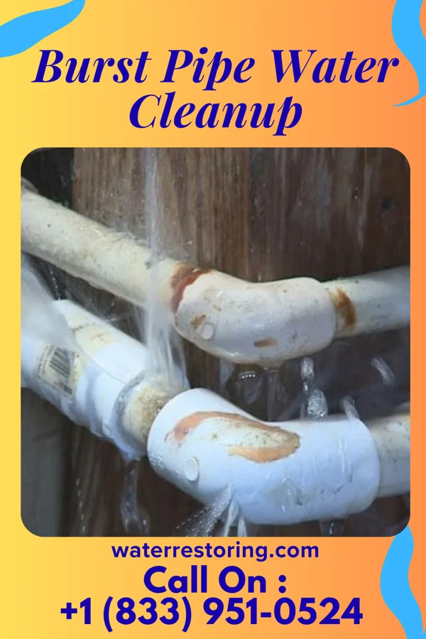 Burst Pipe Water Cleanup in Troy, IN
